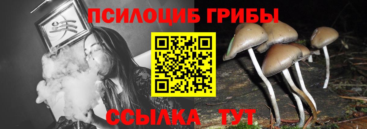 Галлюциногенные грибы Cubensis Светлоград